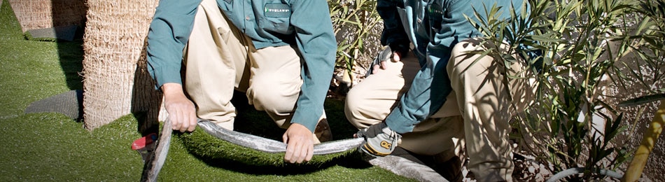 SYNLawn Distributor Overview Header