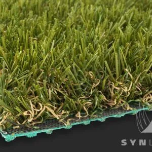 SYNAugustine 547 - SYNLawn