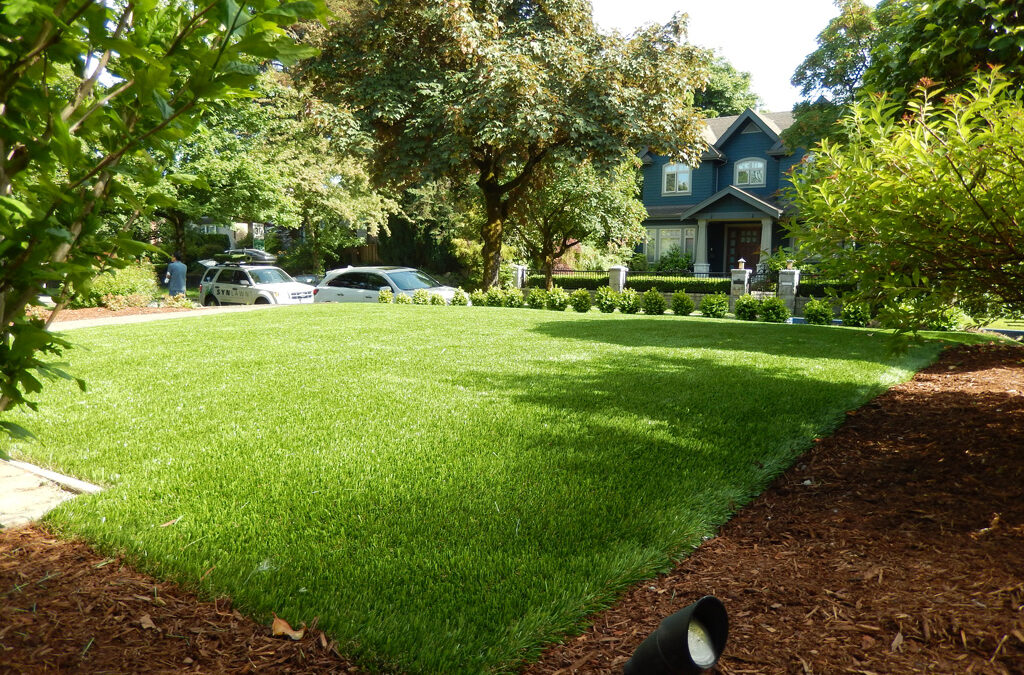 All Natural Solution to Chafer Infestation Found