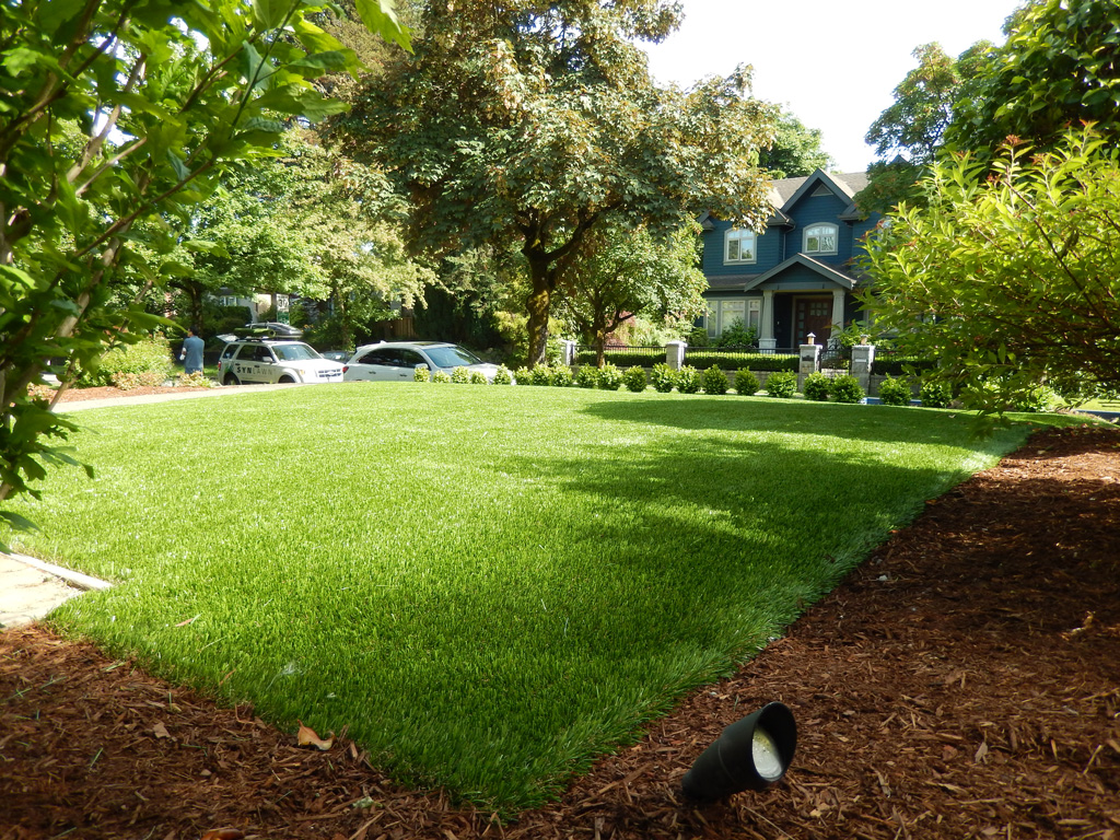 chafer grub solution