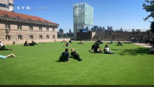 SYNLawn New York City 55 water street rooftop courtyard artificial grass
