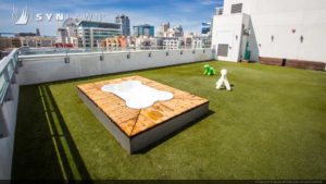SYNLawn San Diego rooftop pet bath condo community wash station