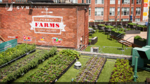SYNLawn artificial grass commercial fenway farms fresh produce