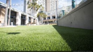 SYNLawn artificial grass commercial outdoor hotel resort party area