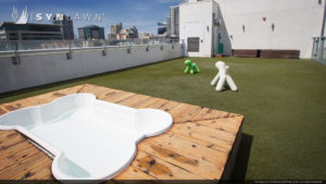 SYNLawn artificial grass commercial roof top pet potty and wash station