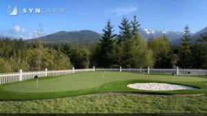 SYNLawn artificial grass for residential backyard golf putting greens