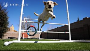 synlawn artificial grass for pet agility and training facilities