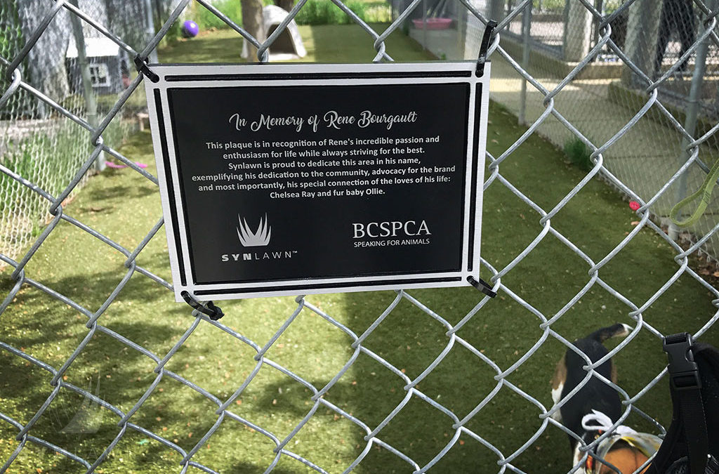 British Columbia SPCA Recognizes SYNLawn’s Contributions to Shelter Improvements
