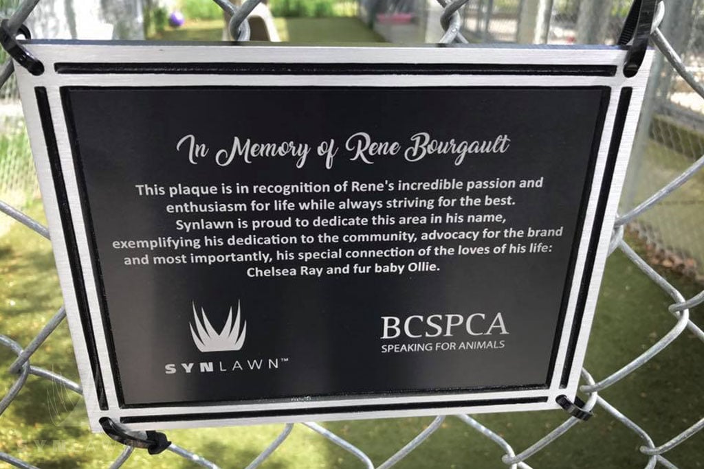 image of pet turf plaque dedication with synlawn