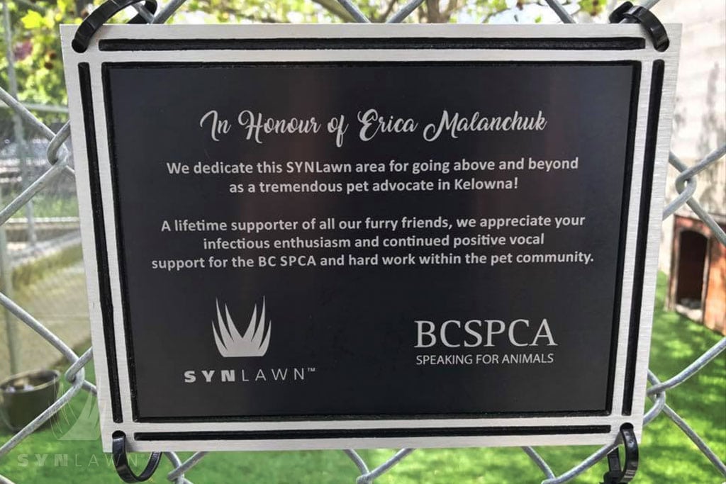 image of pet turf plaque dedication with synlawn and bc spca kelowna