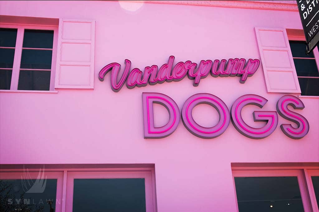 image of vanderpump dog foundation in los angeles