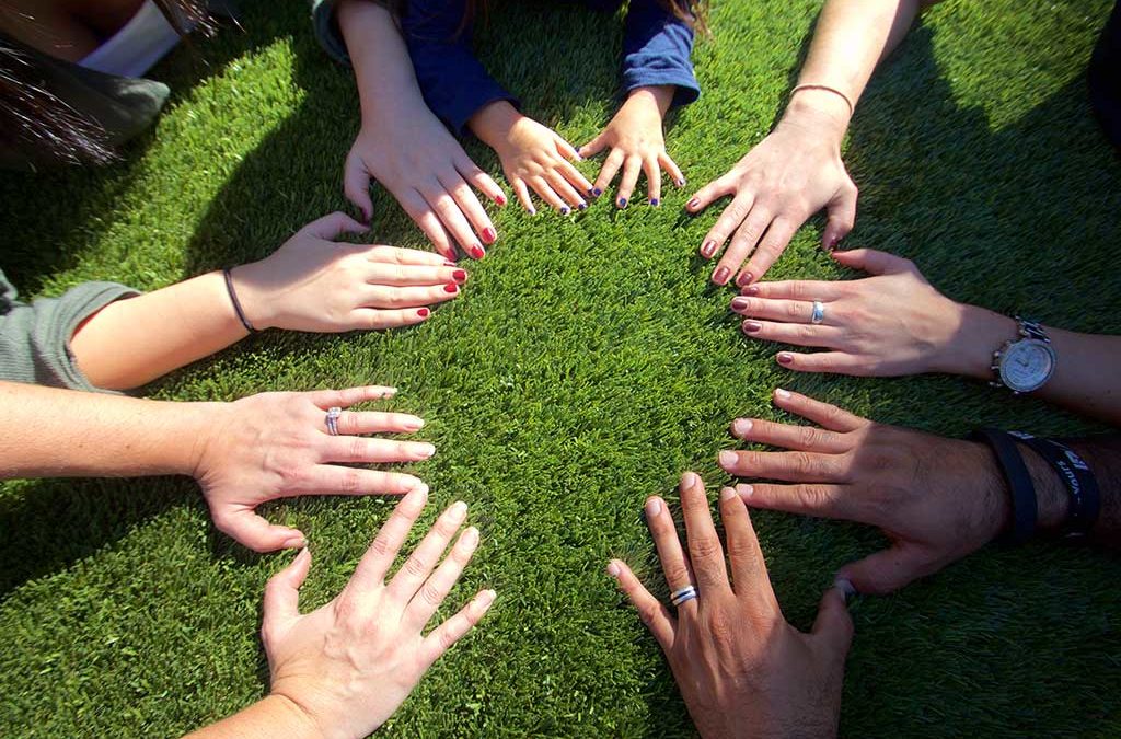 Businesses Go Green with SYNLawn Plant-Based Products