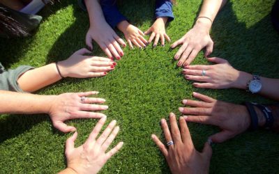 Businesses Go Green with SYNLawn Plant-Based Products
