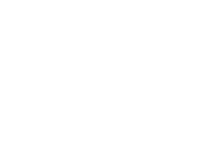 limited lifetime warranty