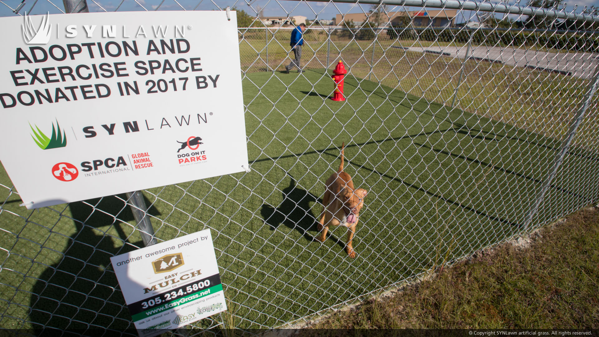 image of Humane Society of Port St Lucie County artificial grass pen for pets