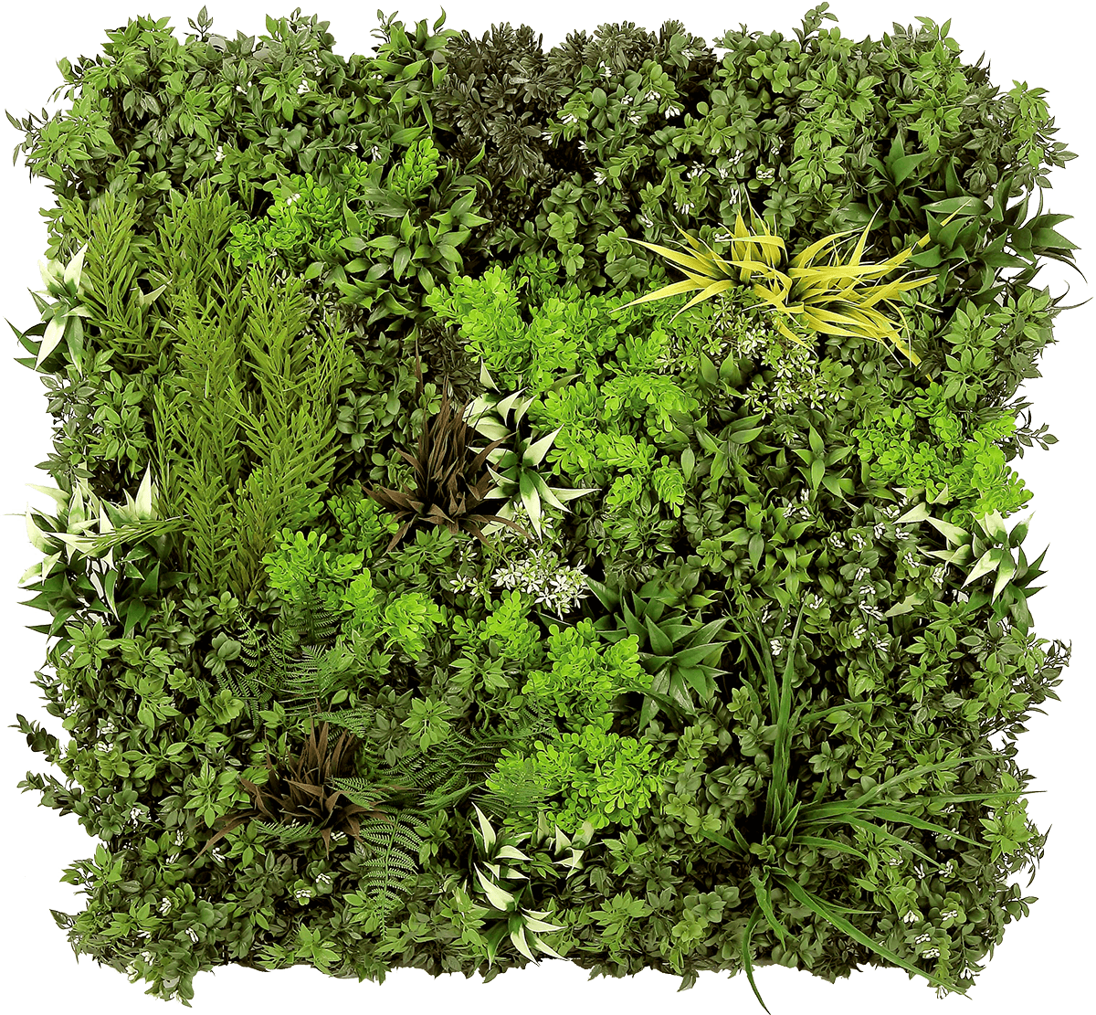 image of artificial green wall panel from SYNLawn