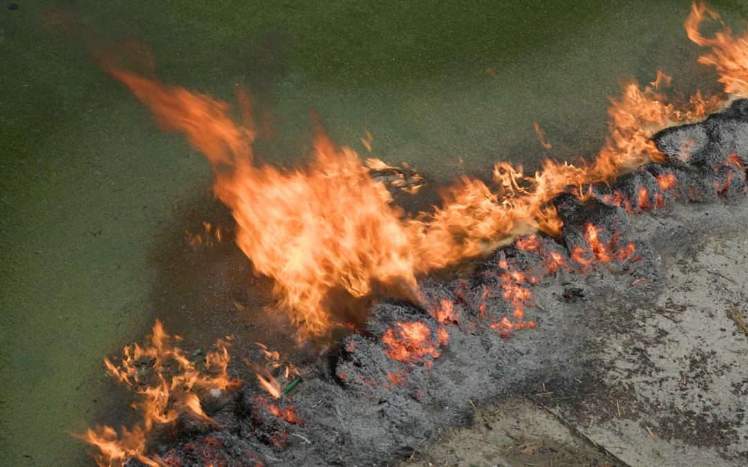 Fire Safety Benefits of SYNLawn Artificial Grass