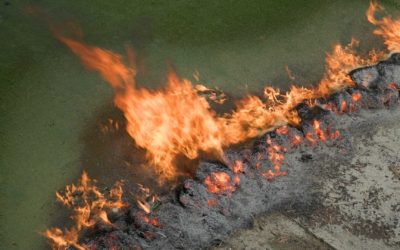 Fire Safety Benefits of SYNLawn Artificial Grass