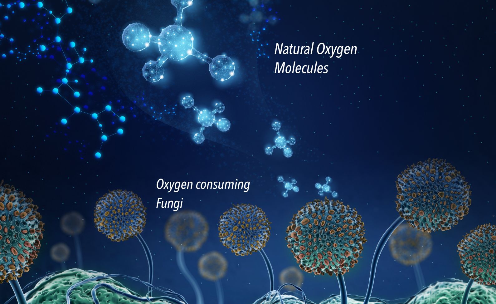EnviroLoc_MainImg_1 Image showing oxygen molecules being consumed by algae