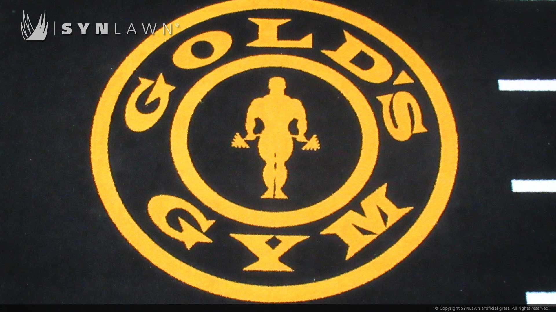 pre-fab-prefab-custom-logo-inlay-to-turf-artificial-grass-golds-gym