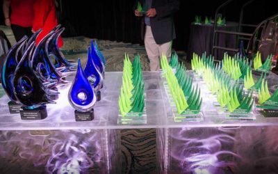 Project of the Year Recipients Recognized at 2022 SYNLawn Annual Conference